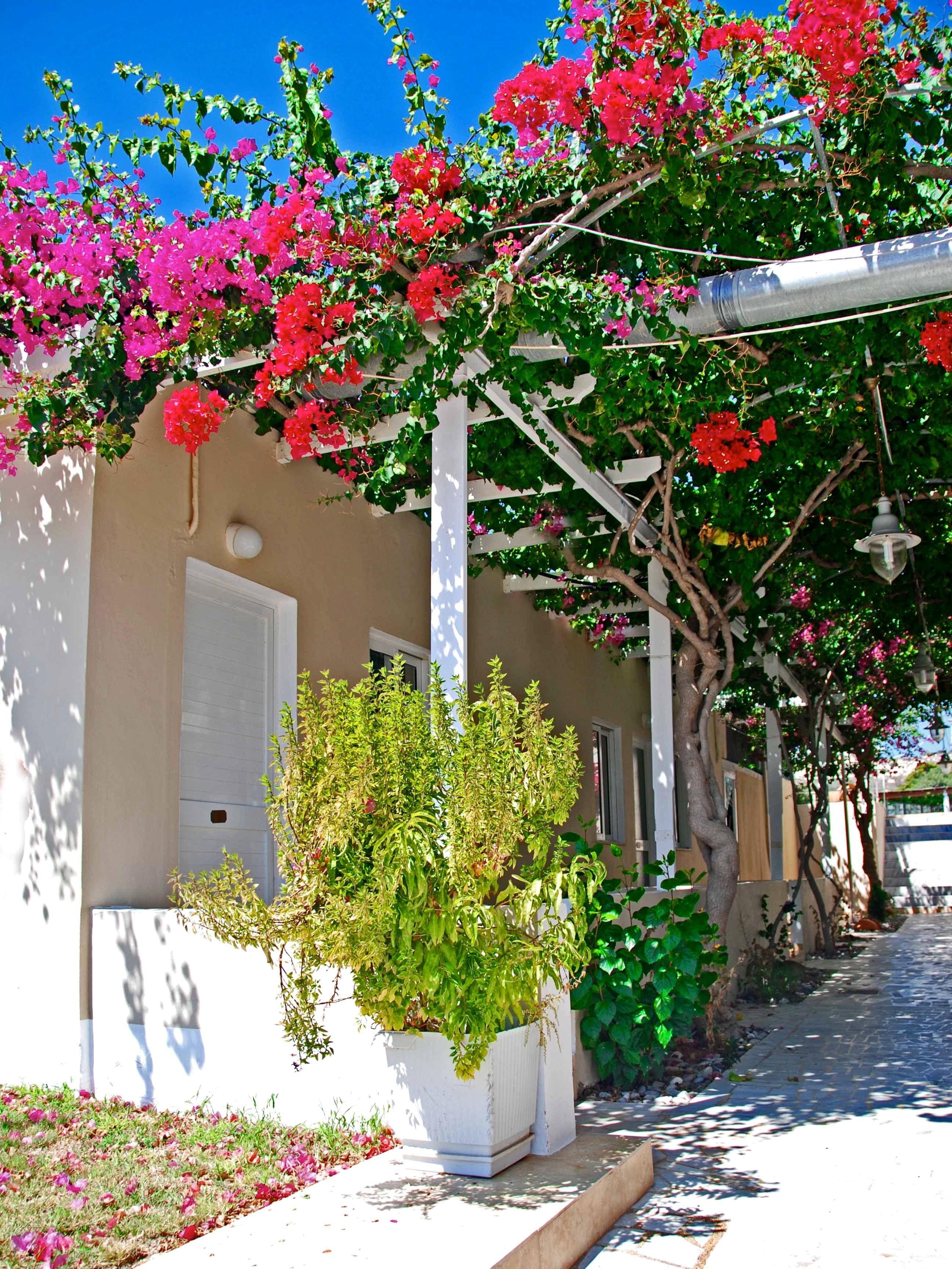Sacallis Inn Beach Hotel Κέφαλος Εξωτερικό φωτογραφία